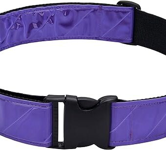 VETGOODS HEAVY DUTY REFLECTIVE BELT (PURPLE)