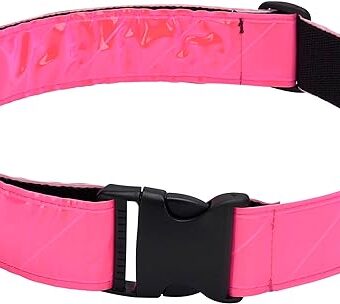 Reflective Belt (Pink)
